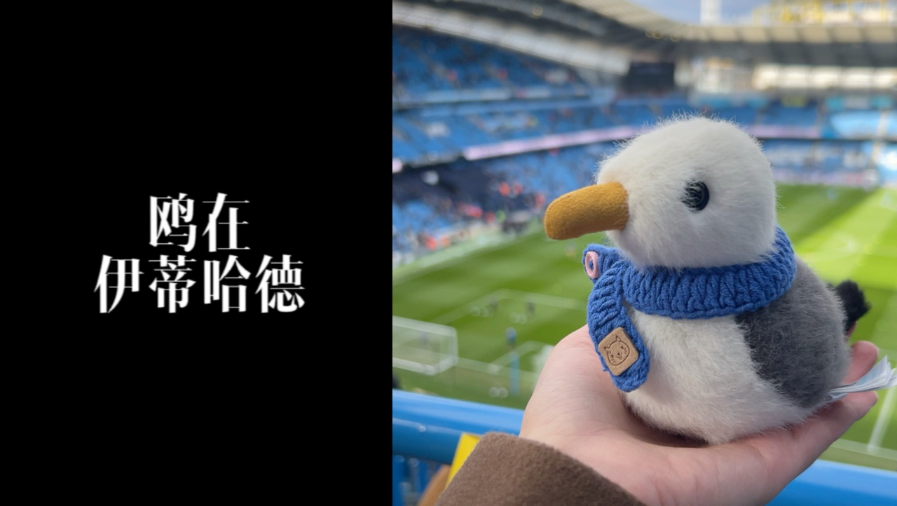 星空体育视频-布莱顿客场告捷，连胜引人注目(意甲那不勒斯40桑普前5轮全胜)